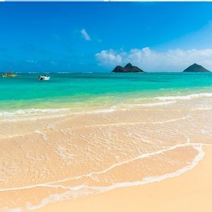 Meet your Posher, Jaydn